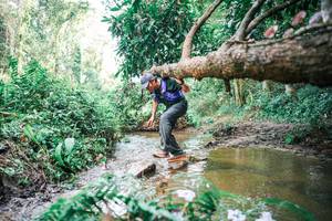 BIB: 
                            <button type="button" onclick="openModal(25518254)" class="btn btn-primary btn-sm float-right btn-popup" data-toggle="modal" data-target=".modal-high-quality">
                        <i class="fas fa-shopping-cart"></i> Add to Cart
                    </button>
                                            <button type="button" onclick="isThisMe(25518254, true)" class="btn btn-success btn-sm float-right btn-popup btn-isme hidden" data-toggle="tooltip" data-placement="bottom" title="นี่คือรูปของคุณใช่ไหม คลิกที่นี่เพื่อเอาเข้าอัลบั้ม">
                        <i class="fas fa-plus"></i> Add to album
                    </button>
                    <button type="button" onclick="isThisMe(25518254, false)" class="btn btn-warning btn-sm float-right btn-popup btn-isnotme hidden">
                        <i class="fas fa-ban"></i> Remove from album
                    </button>